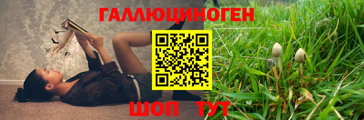 Галлюциногенные грибы Magic Shrooms Прохладный