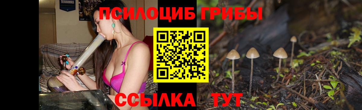 Прохладный  Галлюциногенные грибы Psilocybine cubensis  Вход с VPN 